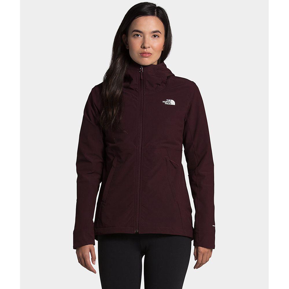 The North Face Hooded Jacket Womens Australia - The North Face Shelbe Raschel Brown (XYN-327489)